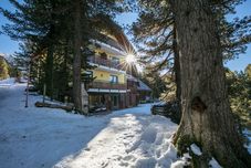 其他 Almhaus Blümel