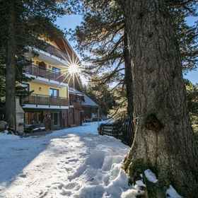 Primary image 1 Almhaus Blümel, Sankt Georgen ob Murau Hotels