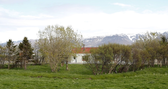 Others Syðra-Skörðugil Guesthouse