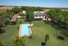 Others Cerros Bravo de Donana