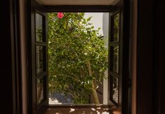 其他 4 Casa Rústica