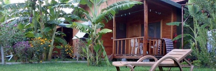 Lainnya Estelar Bungalow