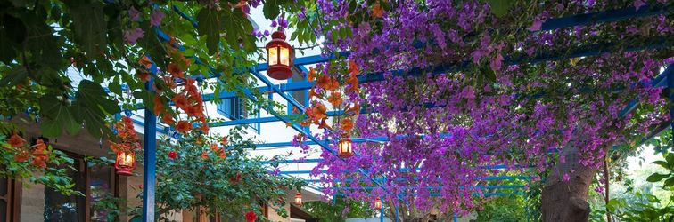 其他 Thetis Pansiyon