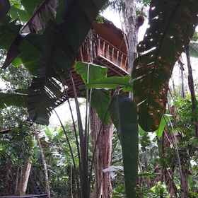 メイン イメージ1Hotel Pulmon del Mundo,亚马孙州飯店