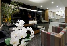 其他 4 Comfort Hotel Goiania