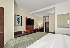 Others 3 Comfort Suites Central