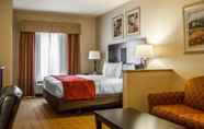 Khác 5 Comfort Suites Edinboro
