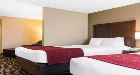 기타 2 Comfort Suites Tampa Airport North