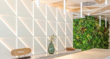 其他 2 Hotel JS PortoColom Suites