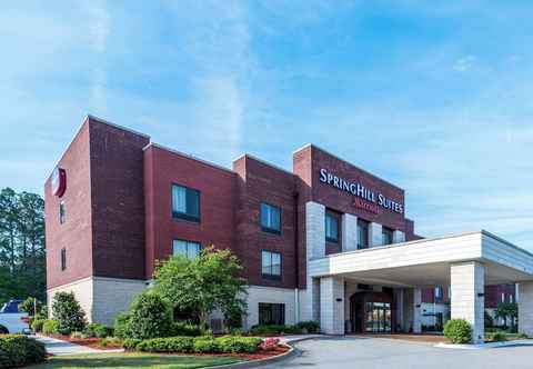 Lain-lain Springhill Suites Statesboro University Area