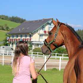 Primary image1那恩霍夫韋特飯店,哈特贝格飯店