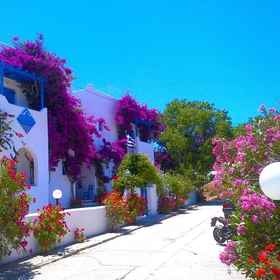 Primary image 1 Pelagos Studios, Khách sạn Bãi biển Psaraliki