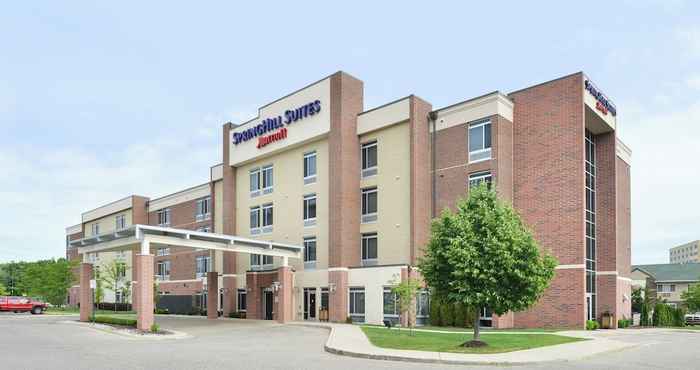 Lainnya SpringHill Suites by Marriott Detroit Metro Airport Romulus