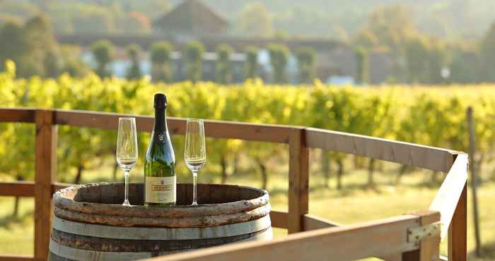 Lainnya Denbies Vineyard Hotel