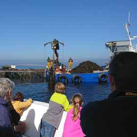 Primary image 1 キンタ デ サン アマロ, ア・イジャ・デ・アロウサ ホテル
