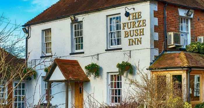 Others The Furze Bush Inn