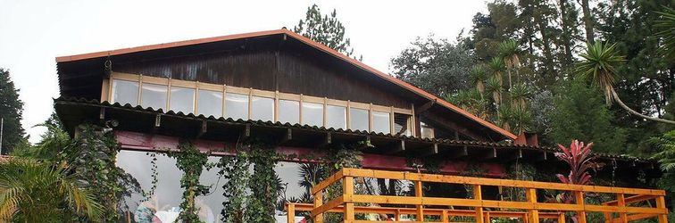 其他 Hotel El Portico