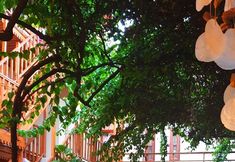 其他 2 Dalyan Konak Su Otel