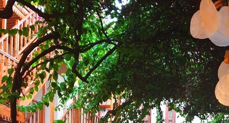 其他 2 Dalyan Konak Su Otel