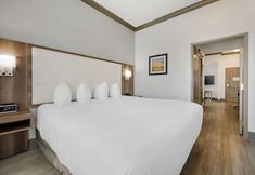 其他 2 Best Western Plus First Coast Inn & Suites