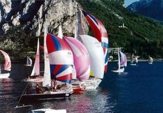 その他 6 Hotel Bellavista