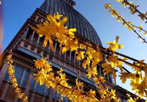 Khác Hotel Alpi Resort