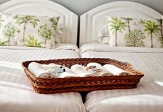 其他 4 ASPA Studios - Urban Conscious Living