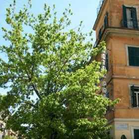 Primary image 1 Hotel Prati, St. Peter's Square Hotels