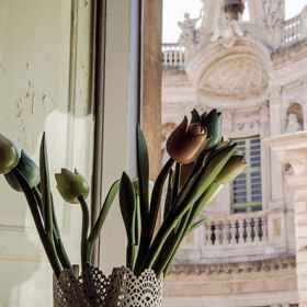 Primary image 1 라 콜레지아타 게스트 하우스, I Capricci di Marisol 호텔