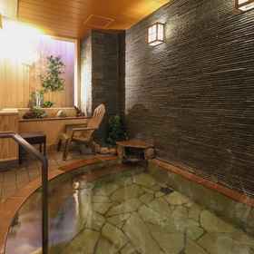 Primary image1札幌多米附溫泉飯店,大通公园飯店