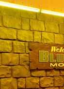 Ảnh chính Bluestone Motor Inn