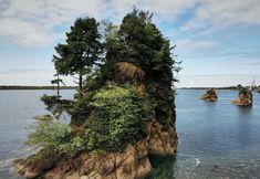 其他 6 Garibaldi Inn at the Bay