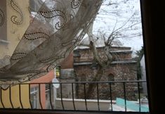 その他 7 Hotel Peninsula