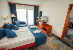 기타 6 Hotel Toplice