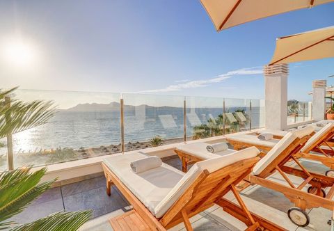 기타 Hoposa Pollentia - Adults Only