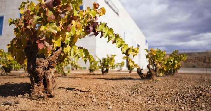 Others Hotel Del Vino