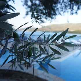 Primary image1歐瑪爾套房飯店,博德鲁姆飯店