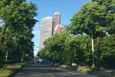 기타 Design Sleepy Cologne