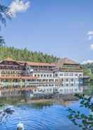 Imej utama Hotel Langenwaldsee