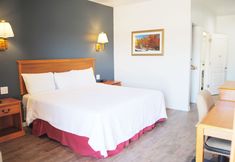 Others 5 Bestway Inn