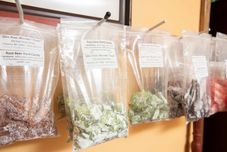 其他 Blue Spruce Motel