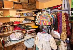 其他 4 Blue Spruce Motel