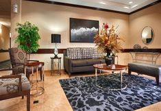 其他 2 Best Western Plus Katy Inn & Suites