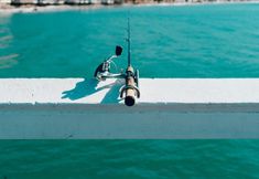 其他 5 Paradise Cove at Lemon Bay