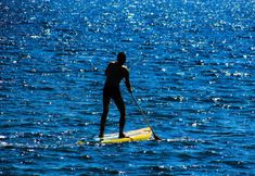 其他 4 Paradise Cove at Lemon Bay