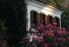 Khác 6 Terrace Houses Sirince - Fig, Olive Clockmakers and Grapevine