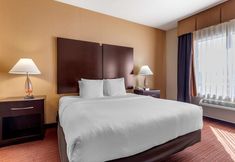 Others 4 Best Western Plus DFW Airport West Euless