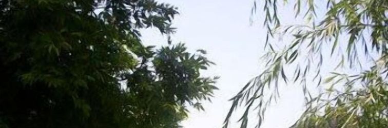 Lainnya Hidden Garden