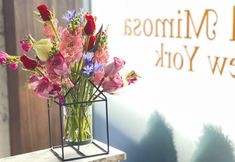 Others 5 Hotel Mimosa