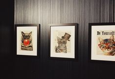 Others 6 Hotel Mimosa